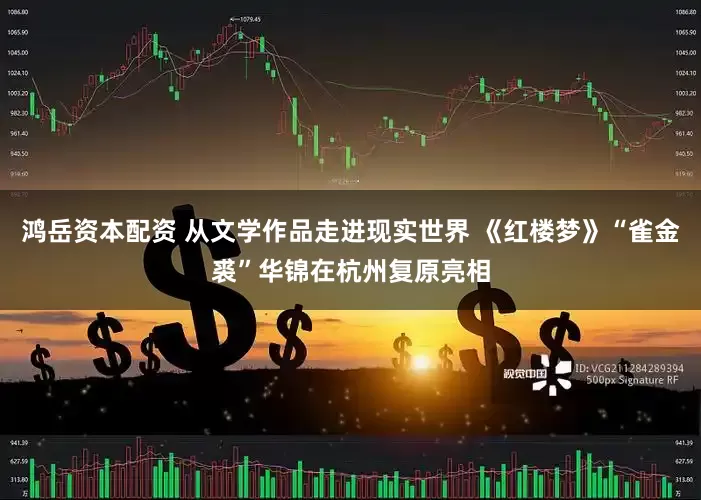 鸿岳资本配资 从文学作品走进现实世界 《红楼梦》“雀金裘”华锦在杭州复原亮相