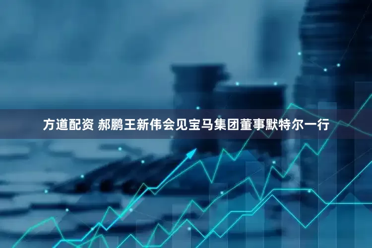 方道配资 郝鹏王新伟会见宝马集团董事默特尔一行