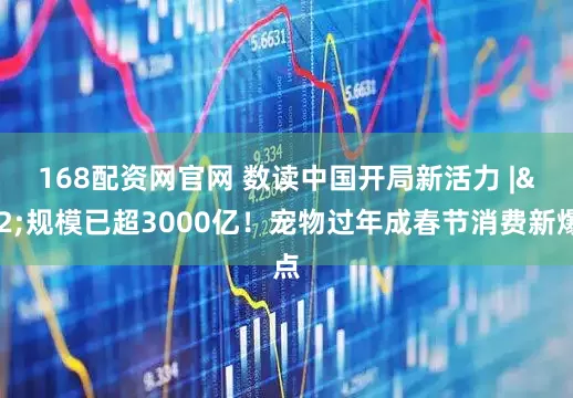 168配资网官网 数读中国开局新活力 | 规模已超3000亿！宠物过年成春节消费新爆点